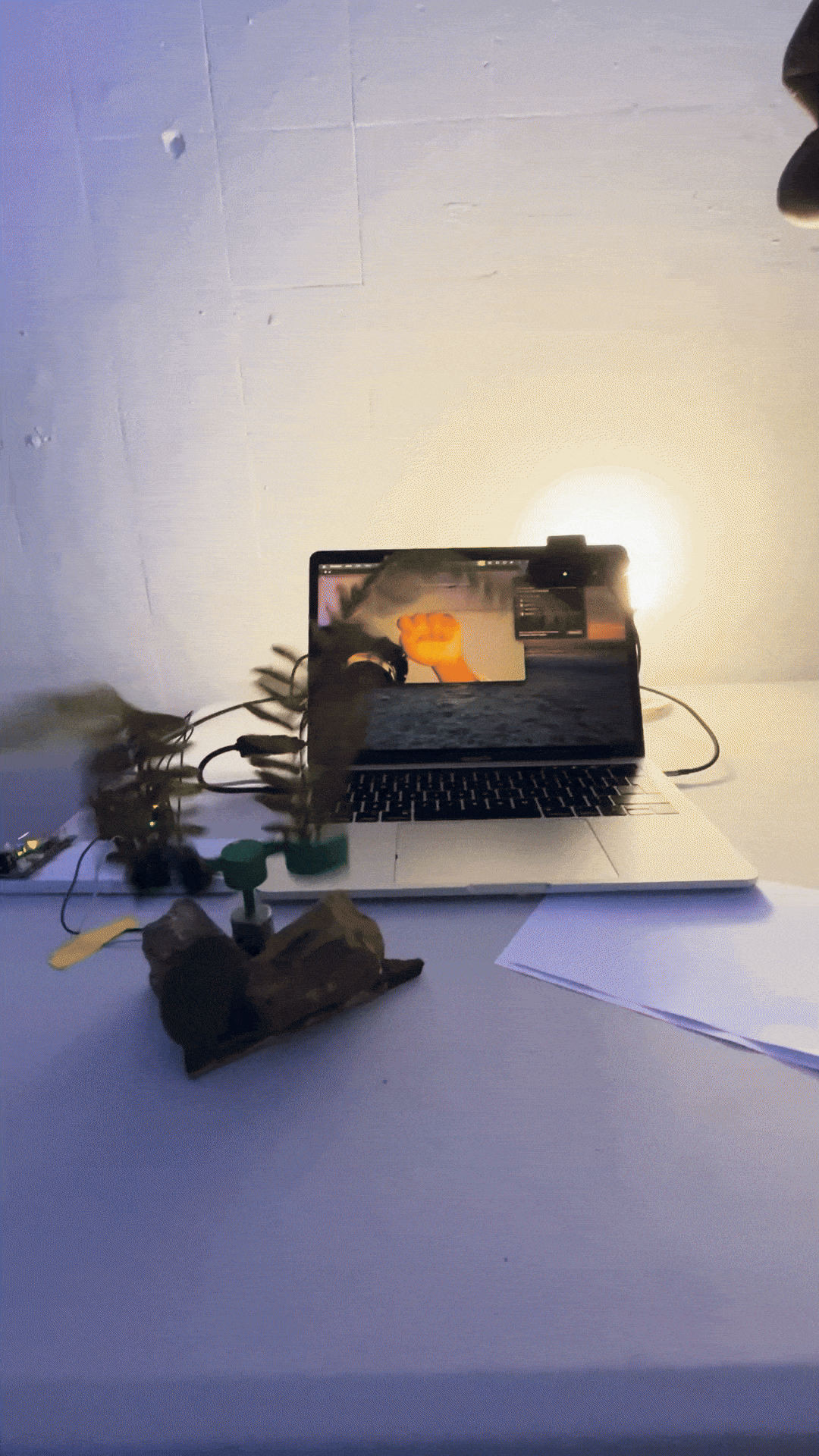 PlantML - a gif of a motorised plant sculpture being controlled by a hand.
